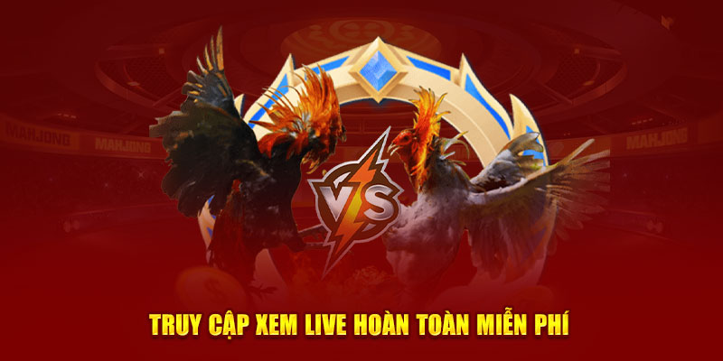 Truy cập xem live hoàn toàn miễn phí 